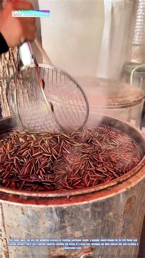 The Art of Roasting: Transforming Sunflower Seeds