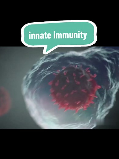 Innate Immunity Explained: Immune System Basics