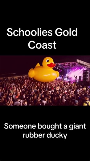 Party was wild last night at schoolies 🦆 #schoolies #goldcoast #brisbane #australia #party