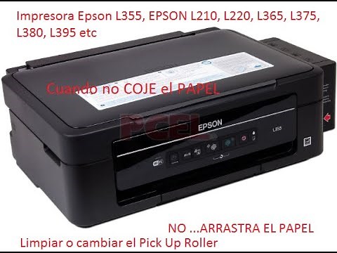 Epson L210, L220, L365, L375, L380, L395 No agarra Papel