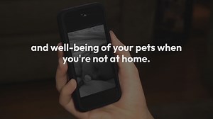 Pet Monitoring While Away