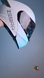 Zebra Modular Helmet | MotoMouse