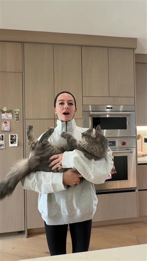 how to feed my zoo! | Zoo Animal Feeding