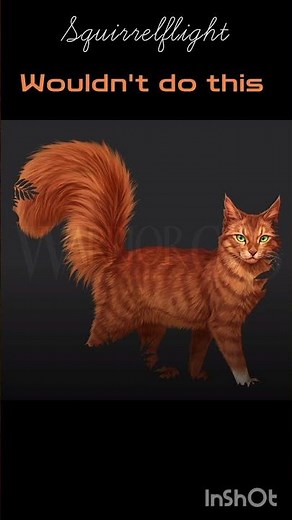 warriors lyrics matching | creds in dec | #warriorcats | #songs