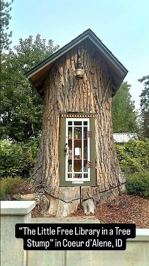 Little Free Library in a Tree Stump – Coeur d’Alene, Idaho 🌲📚 Whimsical Stop with Ash