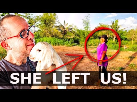Daily Farm Life: Alone in Rural Thailand