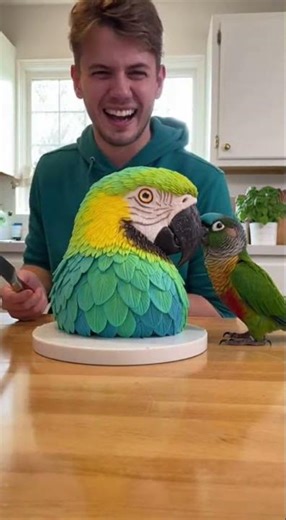 Parrot screams: Don't cut it's me!! #funny #talkingparrot #parrot #pets