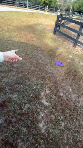 Parenting Moments: When Discipline Takes a Turn