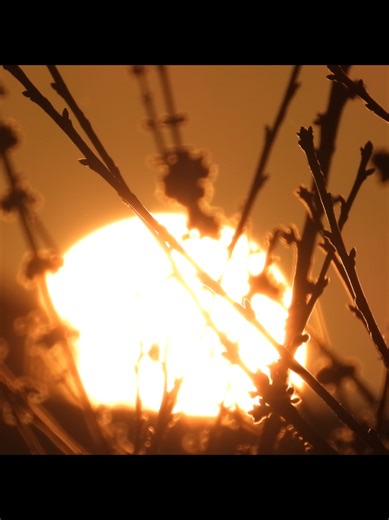 Sunrise in timelapse #zoom #sun #sunrise #timelapse