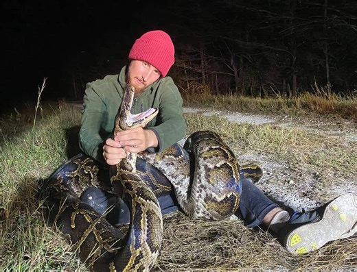 17 pythons. $600. Hunter wins Florida elimination challenge for December