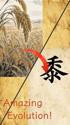 Why "Shǔ" looks like a grain of Millet 🌾
