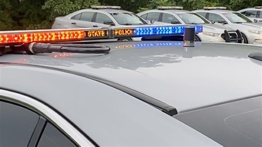 New online portal gives public access to state police traffic stop data