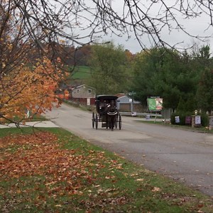 206K views · 1K reactions | LOVE FINDS YOU IN CHARM ☺️ Emma Miller...