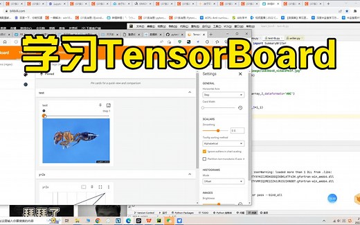 TensorBoard查看模型数据结果