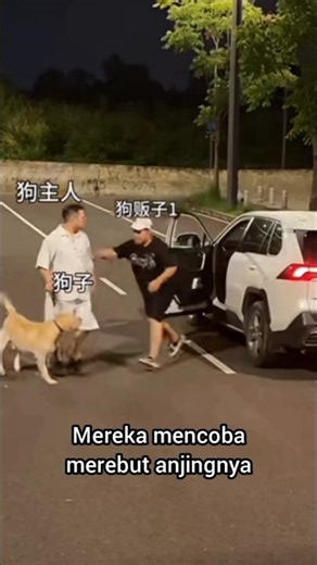 penculikan anjing yang gagal #shorts