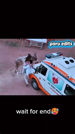 The Warriorr Movie Best Scene: Dr. Satya Saves Mahalakshmi from Bull | Ram Pothineni & Krithi Shetty