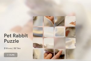 Pet Rabbit Puzzle
