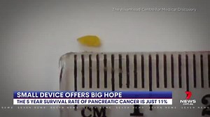 Researchers are hopeful of improving pancreatic cancer survival rates with a tiny device. The world-first prototype is the size of a grain of rice and inserted directly into a tumour to administer chemotherapy. 7NEWS at 6pm | More local news: www.7news.com.au/news/vic #7NEWS | 7NEWS Melbourne