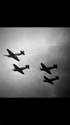 WW2 Germany vs USSR edit #memes #sovietunion #ww2 #edit