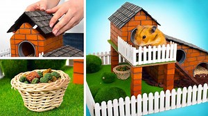 4.8K views · 252 reactions | 隣 How to make Miniature Hamster Pet...