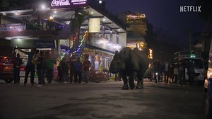 48K views · 268 reactions | Join Cate Blanchett as she takes us on a journey through the natural living world. Filmed using macro close-ups and other technology, we can see nature work in ways we've never seen before in Our Living World.  Our Living World is now playing, only on Netflix | Netflix | Facebook