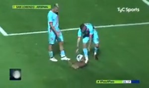 This Adorable Dog Is Going Viral For Interrupting A Football Match