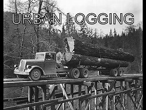 Urban Logging Finding Free Logs for Sawmill