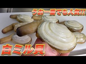 Dinner using Uoichiban's popular "white clams"!