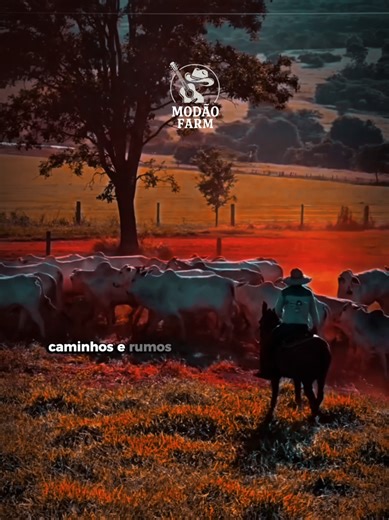 Playlist de modão SÓ VOZ e com apitos e versos na bio 🤠🎼 #agro #pecuaria #chicoreyeparana #modao #sertanejoraiz