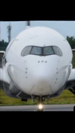 "AIRBUS A350 DANCES LA CUCARACHA! (Aviation x Brainrot Meme) ✈️🪳 | 35,000ft Mexican Vibe"