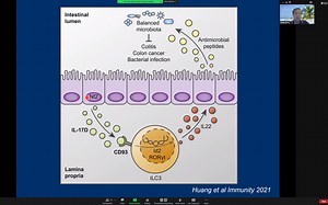 T cell regulation in immunity and diseases by Dr. Chen Dong