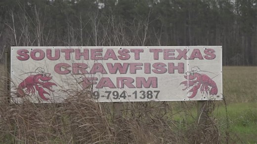 Freeze threatens Southeast Texas crawfish supply, prices set to rise