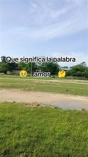 Qué significa la palabra amor