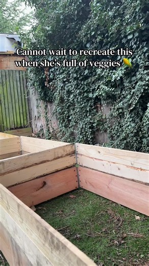 Best Climbing Vegetables for Your Garden Trellis