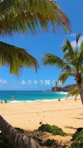 心が晴れるハワイアン｜Hawaiian Music｜作業用・リラックスBGM