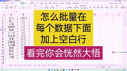 怎么批量在每行数据下面插入空白行 WPS表格 Excel表格