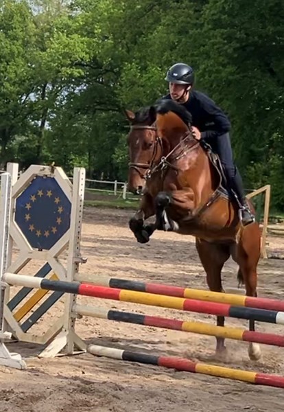 Checker wird immer besser🤩Habt ihr gute Turniere in der nächsten Zeit die einen Schönen Platz haben (Kein Gras), von mir in 1,5 Stunden zu erreichen sind und Springpferde Prüfungen ? #showjumper #foryoupage #springreiter #checker #reiten