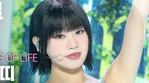 4K【Natty】'Sticky' 牛仔雏菊卷 竖版直拍 @冠军秀 240710