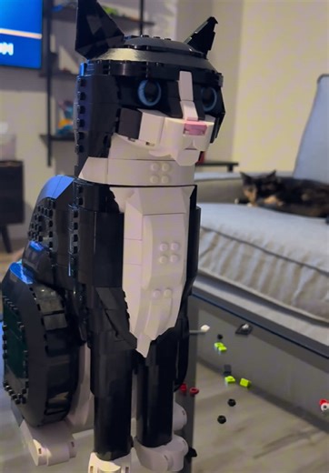 LEGO girly pop chronicles 🫶🏾