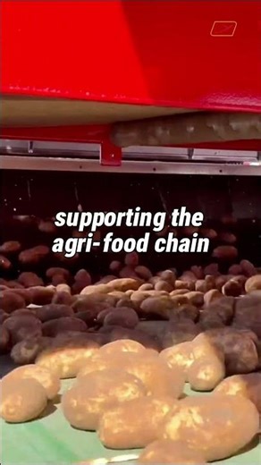 From Harvest To Market: National Agricolture Day - Optical Sorting Solutions | RAYTEC VISION SpA