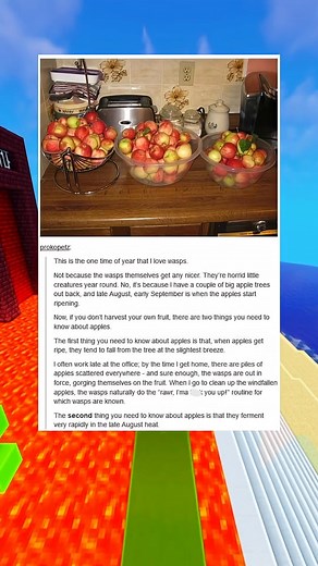 the wasp destroyer #foryouシpage #usareelssa #usa_tiktok #anything #best #america #usa #wasp #Destroyer | funny memes