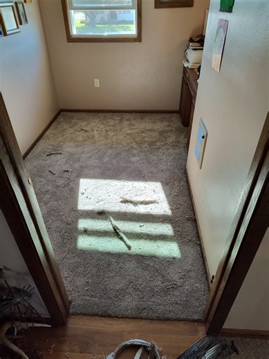 Ruebs Flooring on Reels