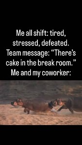 😂 | Funny Work Memes