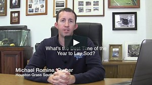 Best Time to Lay Sod Grass - Houston Sugar Land Pearland Katy