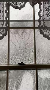 3.5K views · 398 reactions | Bomb cyclone snow storm, When snow comes very fast constantly from all directions!￼￼ | Nancy Thayer | Facebook