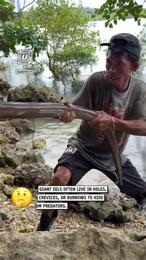 I didn't realize they were this slimy 🥴🐍💦 #nature