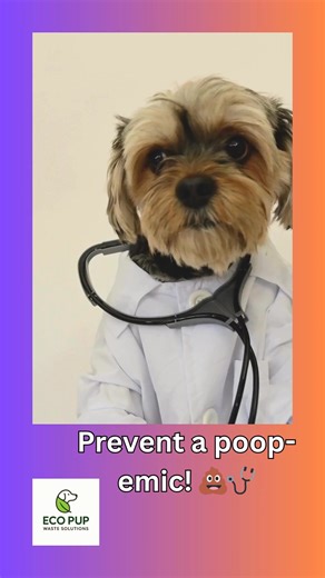 “Prevent a poop-emic! 💩🩺 Let Doctor Pup diagnose your yard: ⚠️ Symptoms: scary stink 💡 Cure: Eco Pup Waste Solutions! Serving King & Snohomish County 🎃 📞 805-708-8976” | Eco Pup Waste Solutions