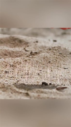 Zane Recap: Unpacking the Latest Movie Highlights