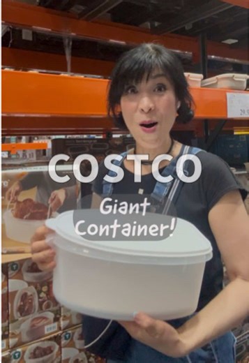 Discover the Versatile Uses of a Huge Tupperware Container