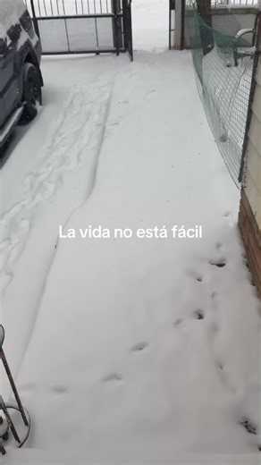Ni modo así es la vianda